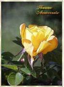 Carte Anniversaire à imprimer : Rose jaune