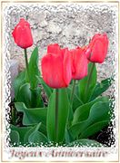 Carte à imprimer Heureux Anniversaire - Tulipes