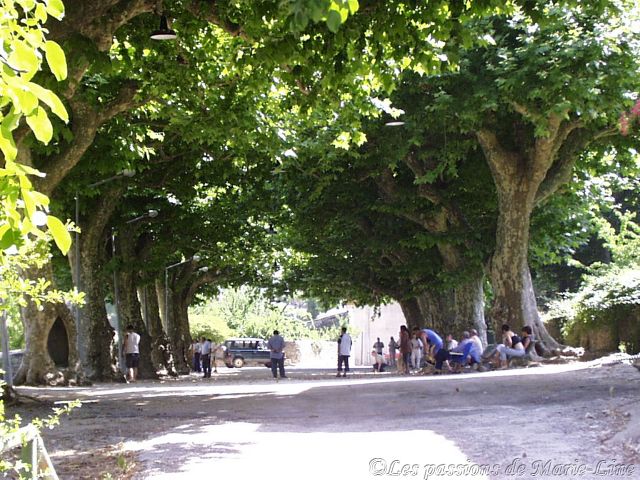 Jeu de boules sous les platanes