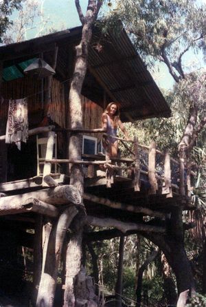 La_maison_dans_les_arbres.jpg